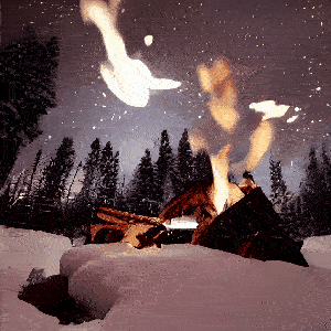 晚上在白雪皑皑的森林里篝火，背景是星空。